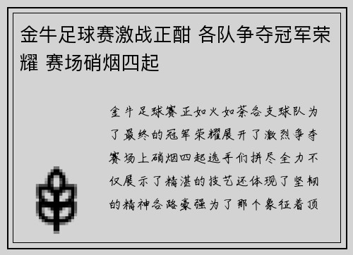 金牛足球赛激战正酣 各队争夺冠军荣耀 赛场硝烟四起